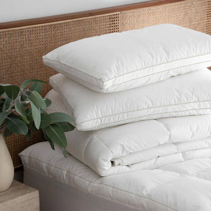 Hotel Cloud Collection™ Hotel Pillow - BLACK & PURPLE - Kuwait